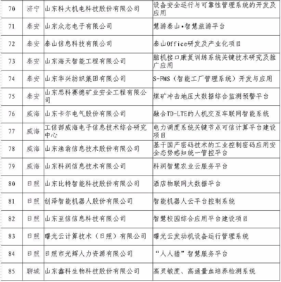 日照5家企業入選省級重點項目名單，引領網絡與信息安全軟件開發新浪潮